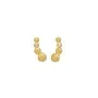 Maanesten Diantha Earrings Goldplated Silver 9983a