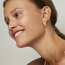 Polar Jewelry Earrings Goldplated Silver PRI-ST-GD-WZ-00310